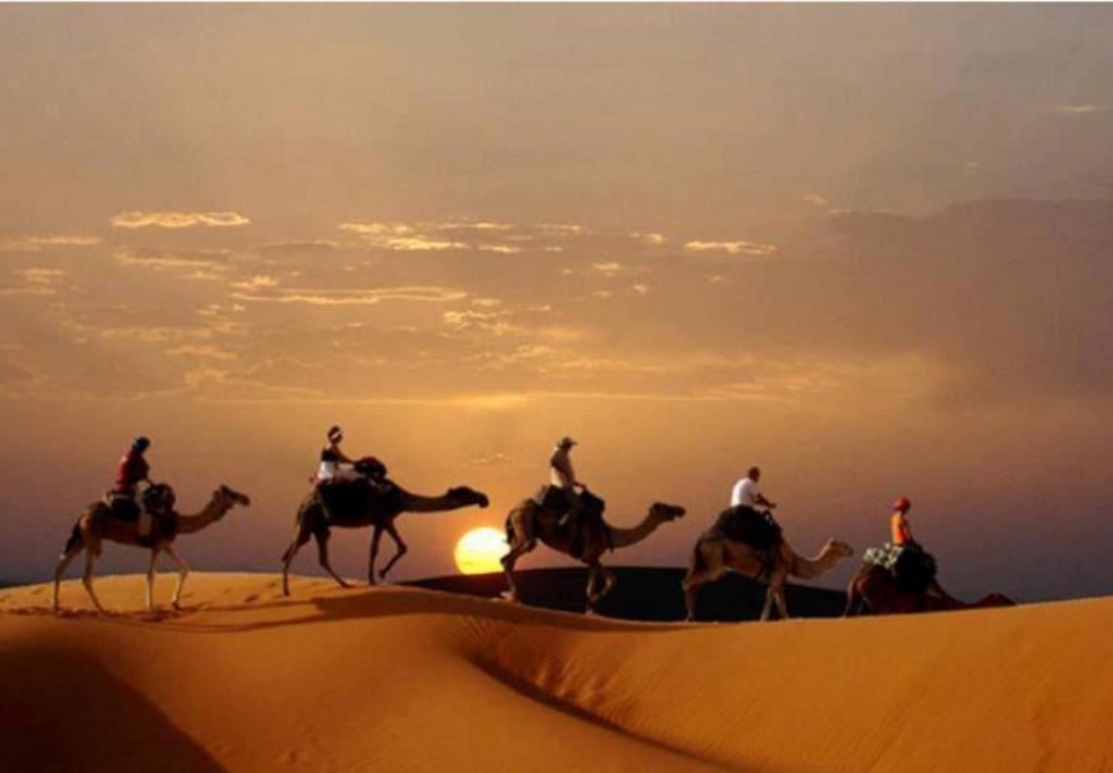 Camp Sahara Majestic Bed & Breakfast M'Hamid Exterior foto