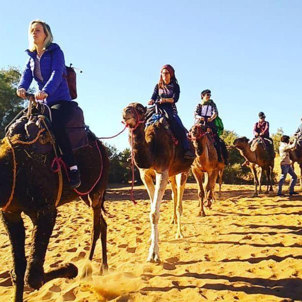 Camp Sahara Majestic Bed & Breakfast M'Hamid Exterior foto