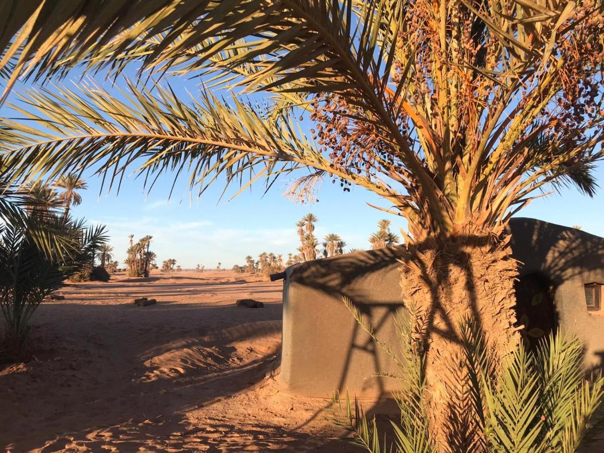 Camp Sahara Majestic Bed & Breakfast M'Hamid Exterior foto