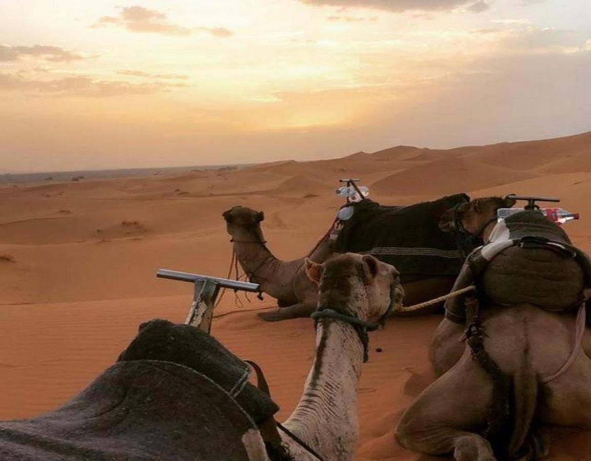 Camp Sahara Majestic Bed & Breakfast M'Hamid Exterior foto